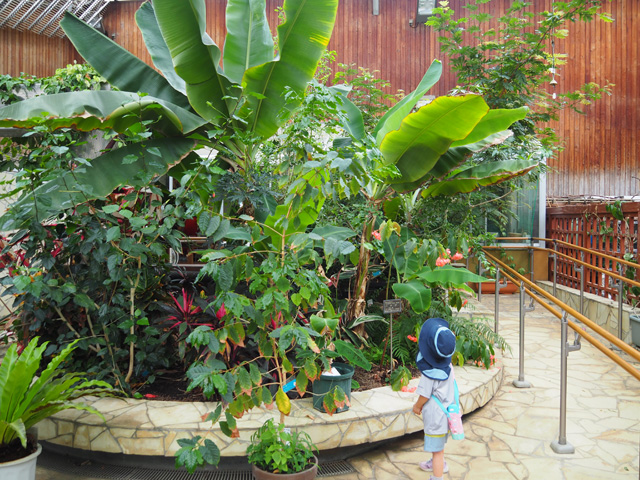 「人と自然の共生館」のガラス温室/足立区都市農業公園