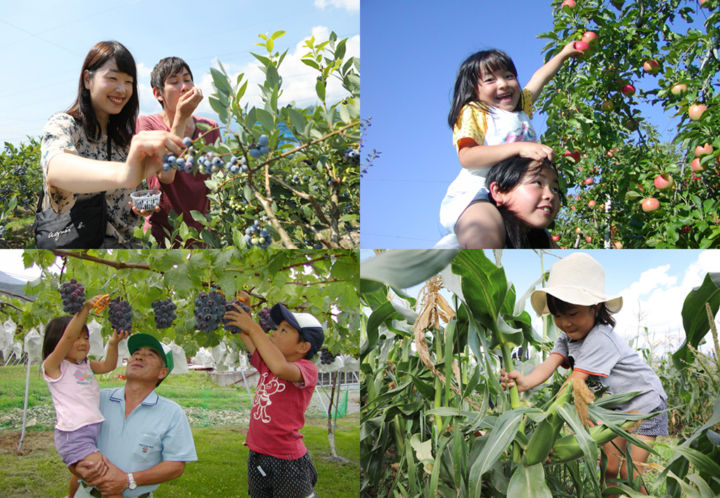 みはらしファーム（長野県/伊那市）