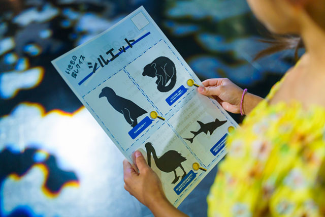 「いきものさがしクイズ」/DMMかりゆし水族館（沖縄県／豊見城市）