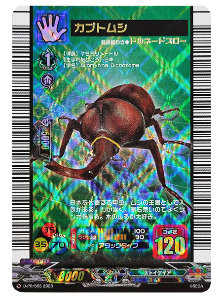 「カブト・クワガタ ふれあいの森 in お台場 2023 with 甲虫王者ムシキング」(神奈川県/横浜市)