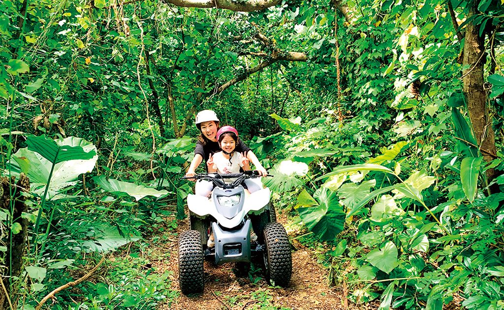 【限定セット】沖縄で祈りを込めたクリペ＆ハペ2本　赤シリーズ　第四弾 ㉓〜㉚ 沖縄でジャングル体験！やんばるの森探検や大迫力のジャングルバギー