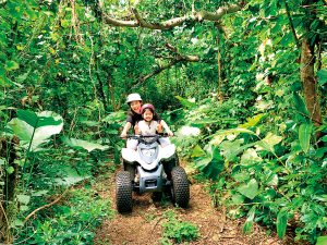 沖縄でジャングル体験！やんばるの森探検や大迫力のジャングルバギーツアーなど