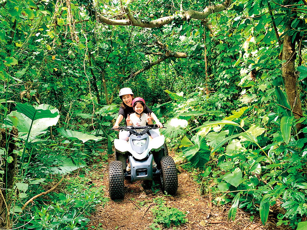 どきどきガジュマルンチャー(沖縄県/名護市)