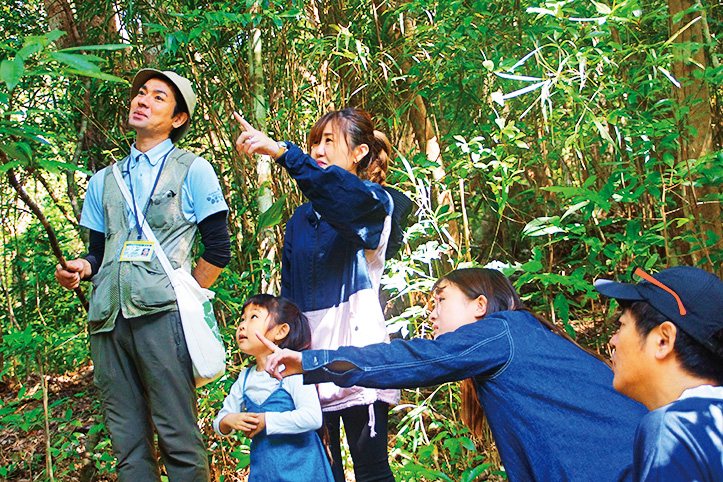 やんばる学びの森(沖縄県/国頭村)