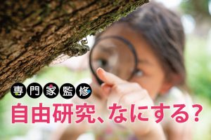 自由研究  楽しいテーマ探しのアイデア  簡単キットはダメ？ 子どもの日常にヒントあり！