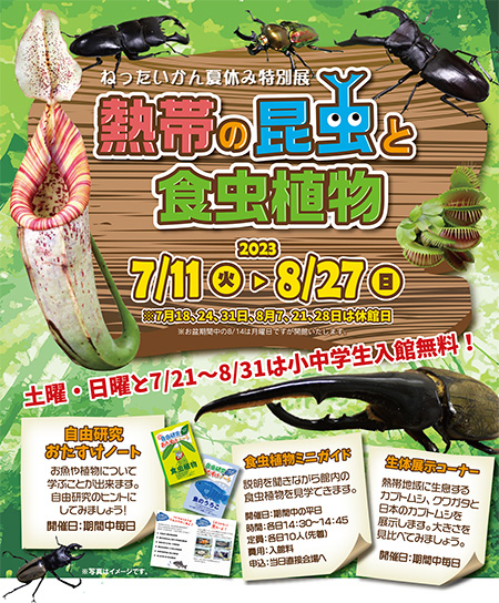 特別展「熱帯の昆虫と食虫植物」/板橋区立熱帯環境植物館(東京都)