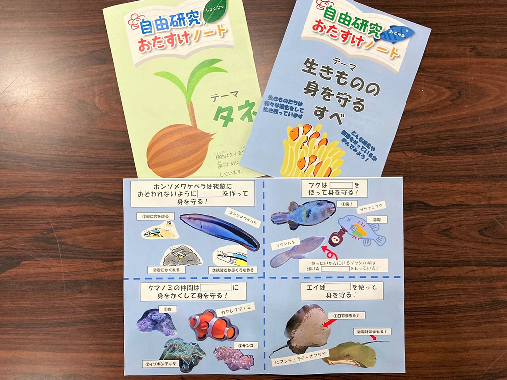 自由研究おたすけノート/特別展「熱帯の昆虫と食虫植物」/板橋区立熱帯環境植物館(東京都)