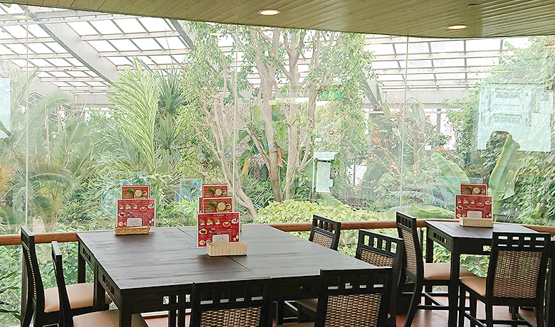 喫茶室クレア/「熱帯の昆虫と食虫植物」/板橋区立熱帯環境植物館(東京都)