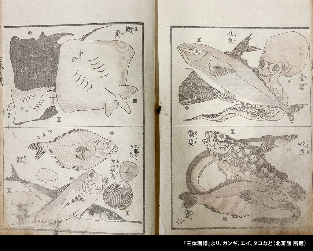 北斎館(長野県/小布施町)