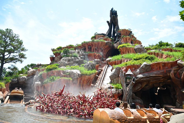 スプラッシュ・マウンテン/東京ディズニーランド(千葉県/舞浜市)