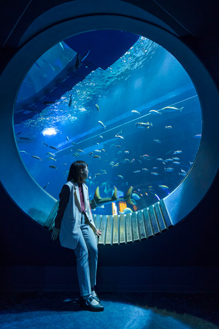 大水槽の大きな丸窓/DMMかりゆし水族館（沖縄県／豊見城市）