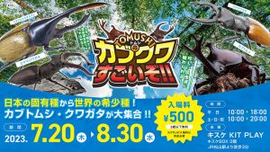 キッズパークKIT PLAYで「TOMUSHI(トムシ)のカブクワすごいぞ!!」開催 世界のカブトムシ・クワガタが大集合!