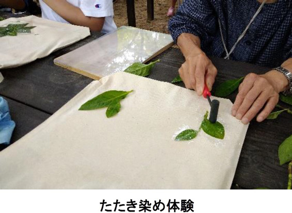 たたき染め体験/六甲高山植物園「しょくぶつ と むし」（兵庫県/神戸市）