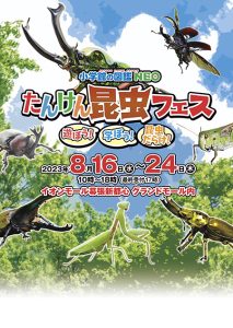 「小学館の図鑑NEO たんけん昆虫フェス」イオンモール幕張新都心にて8/16から初開催!