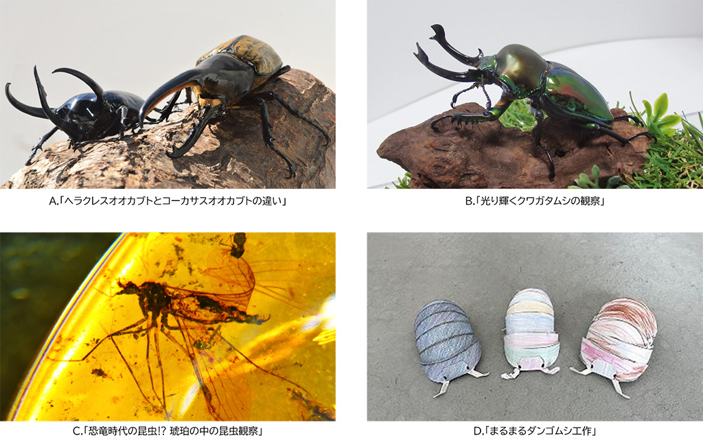 「小学館の図鑑NEO たんけん昆虫フェス」（千葉県/千葉市）