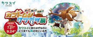 川崎水族館で昆虫採集?「探して!触って!森遊び!カブトムシ・クワガタ展〜カワスイに来たはずなのにどう見ても森の中にいる件〜」7/21~9/24開催
