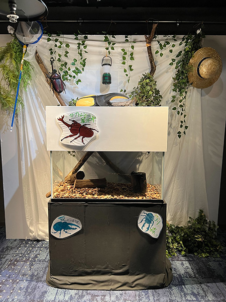 探して！触って！森遊び！カブトムシ・クワガタ展〜カワスイに来たはずなのにどう見ても森の中にいる件〜（神奈川県/川崎市）