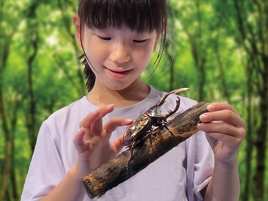 探して！触って！森遊び！カブトムシ・クワガタ展〜カワスイに来たはずなのにどう見ても森の中にいる件〜（神奈川県/川崎市）