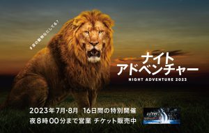 夜の動物なにしてる?アドベンチャーワールド夜間特別営業「NIGHT ADVENTURE2023」16日間限定開催!