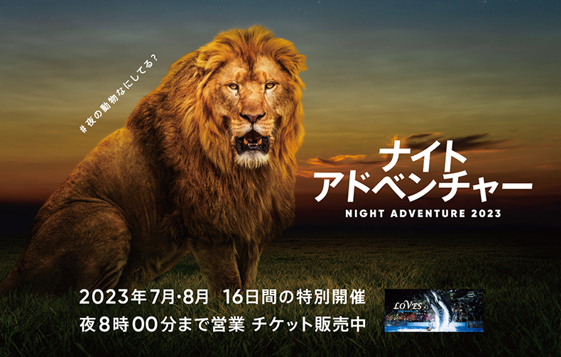 NIGHT ADVENTURE2023/アドベンチャーワールド（和歌山県/白浜町）
