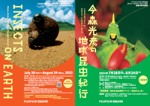 フジフイルム スクエアで自由研究イベント「昆虫のふしぎ」開催!写真展「今森光彦の地球昆虫紀行」も