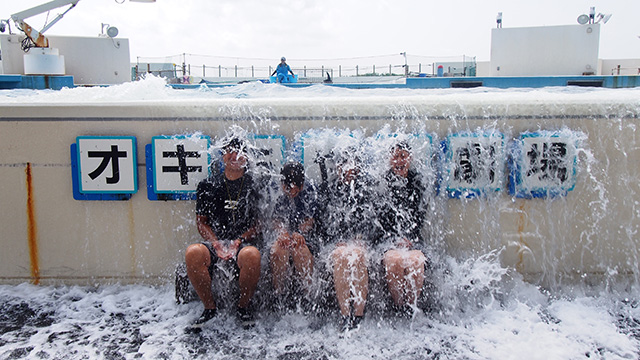 沖縄美ら海水族館＆オキちゃん劇場（沖縄県）