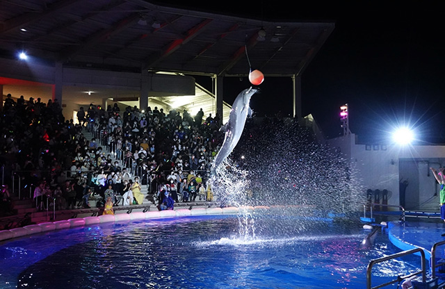 ナイトアクアリウムシアター「SEATOPIA」/仙台うみの杜水族館（宮城県／仙台市）