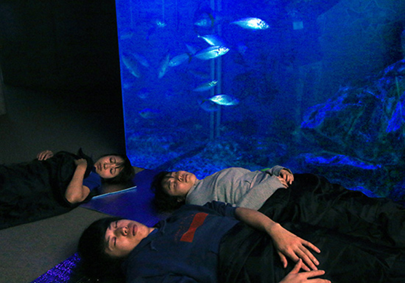 ナイトアクアリウム/栃木県なかがわ水遊園（栃木県／大田原市）