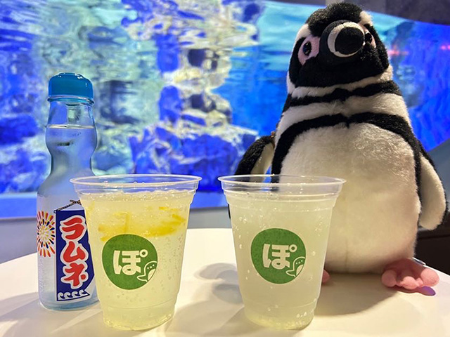 「ぽんずドリンク」/すみだ水族館（東京都／墨田区）