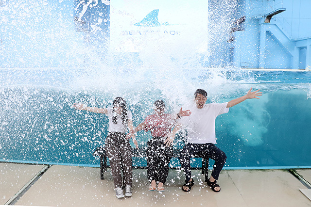 「海の動物たちのショー」/横浜・八景島シーパラダイス（神奈川県／横浜市）