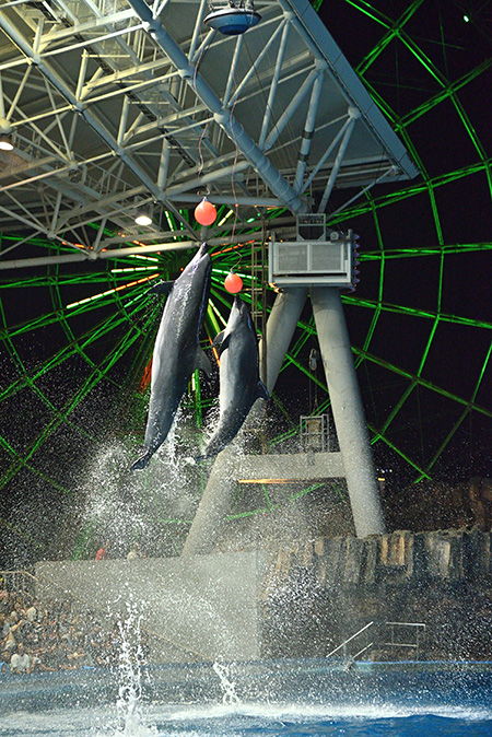 サマーナイトアクアリウム/名古屋港水族館（愛知県／名古屋市）