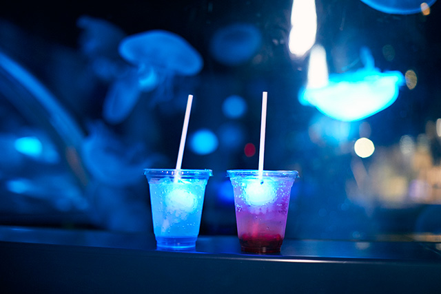 光る★クラゲソーダ/京都水族館（京都府／京都市）