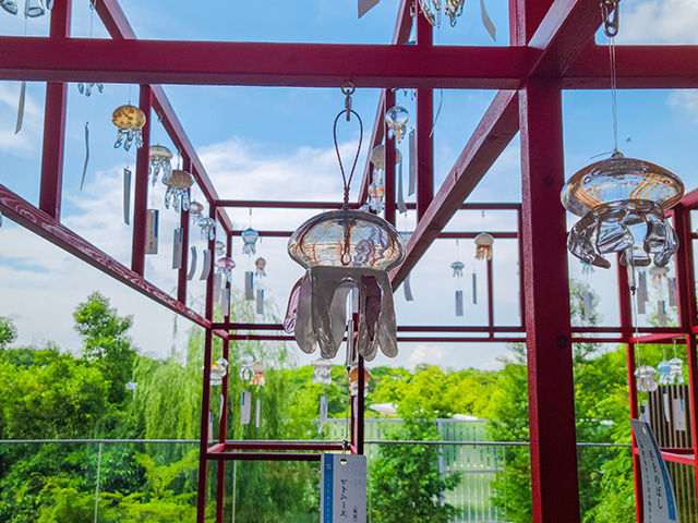 クラゲ風鈴/京都水族館（京都府／京都市）