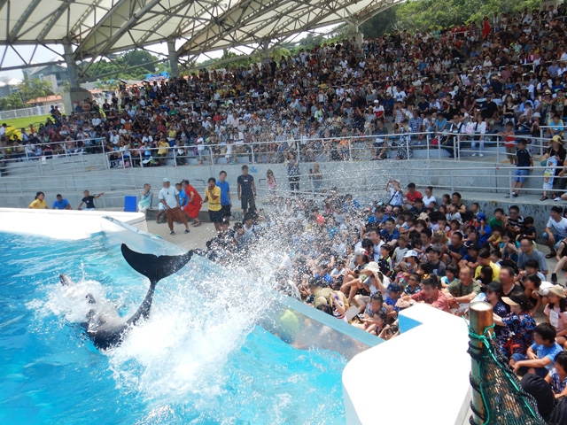 沖縄美ら海水族館＆オキちゃん劇場（沖縄県）