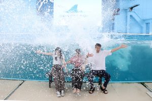 2023夏休みの水族館イベント・体験!夜ツアーやずぶ濡れショー、自由研究できる展示も