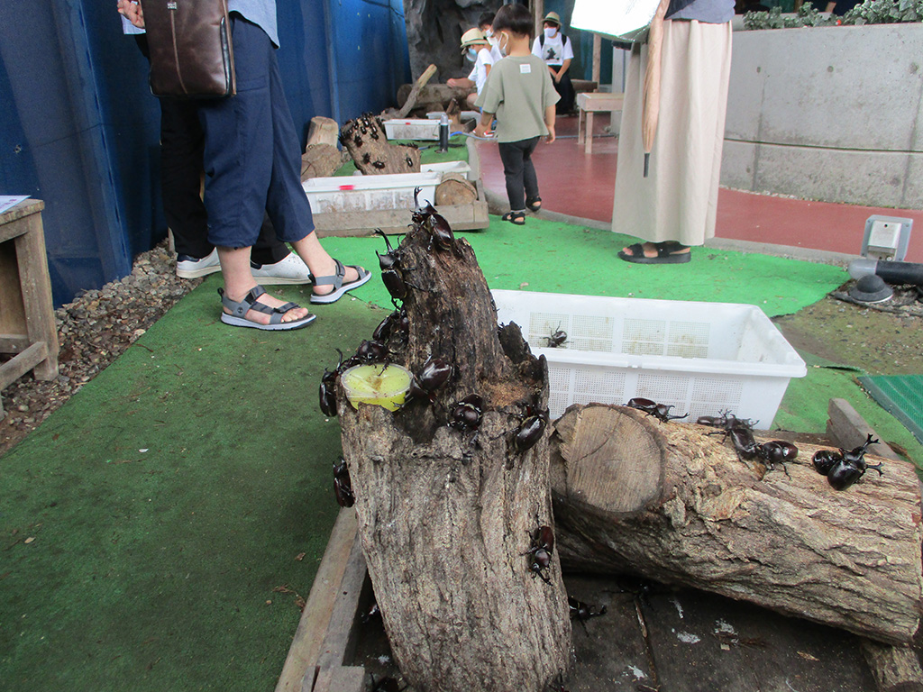 昆虫王国立山・立山自然ふれあい館（富山県/立山町）