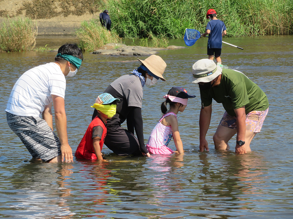 目かくしイモ虫