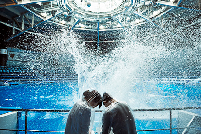 ドルフィンパフォーマンス」/マクセル アクアパーク品川（東京都／港区）