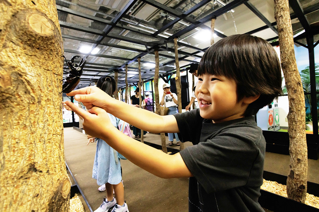 カブトムシとのふれあい/カブト・クワガタ ふれあいの森 in お台場 2023 with 甲虫王者ムシキング（東京都/港区）