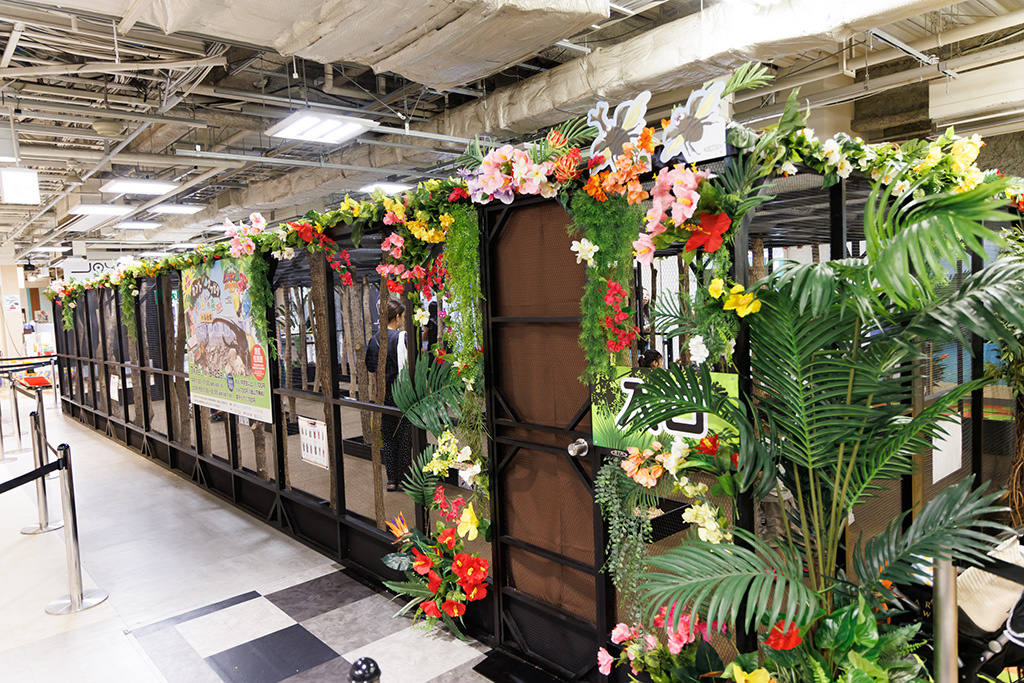 入口/カブト・クワガタ ふれあいの森 in お台場 2023 with 甲虫王者ムシキング（東京都/港区）