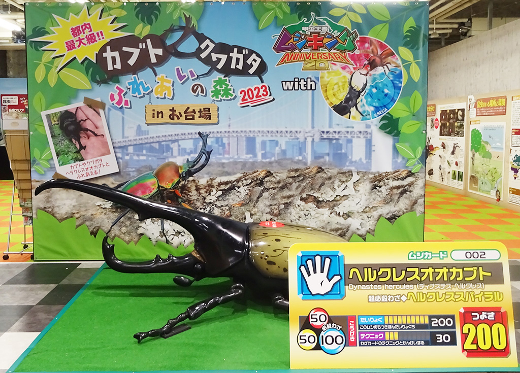 カブト・クワガタ ふれあいの森 in お台場 2023 with 甲虫王者ムシキング（東京都/港区）