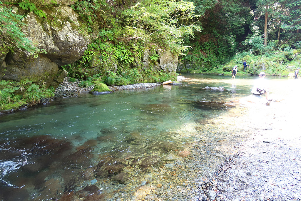 清流で川遊び/ミューの森(山梨県/上野原市)