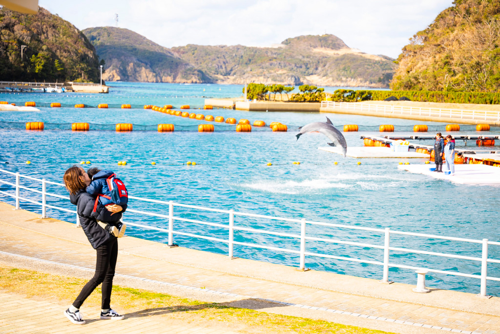 /壱岐イルカパーク&リゾート(長崎県/壱岐市)