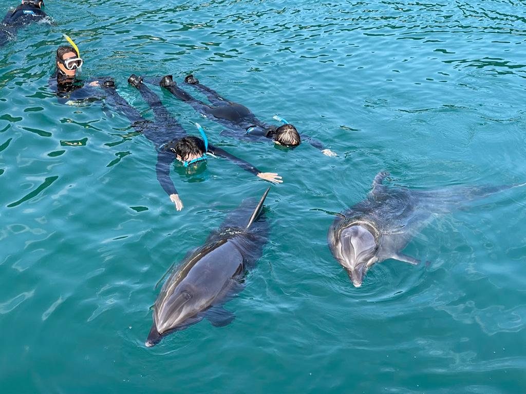 /壱岐イルカパーク&リゾート(長崎県/壱岐市)