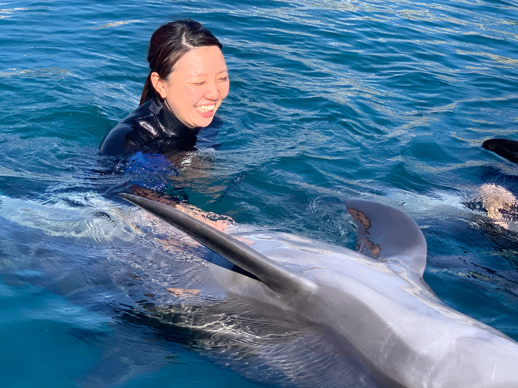 ドルフィンスイム/室戸ドルフィンセンター(高知県/室戸市)