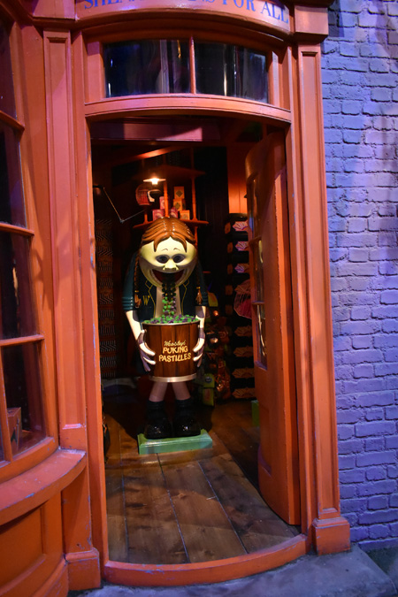 店内をのぞくとウィーズリーのゲーゲートローチが…/ワーナー ブラザース スタジオツアー東京 - メイキング・オブ・ハリー・ポッター(東京都/練馬区)