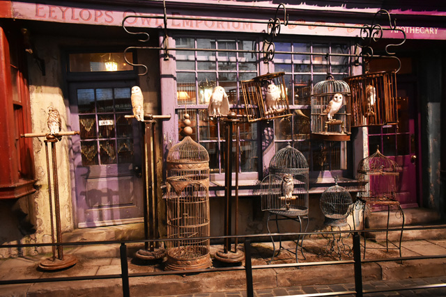 店頭にふくろうが並ぶ店もあります/ワーナー ブラザース スタジオツアー東京 - メイキング・オブ・ハリー・ポッター(東京都/練馬区)