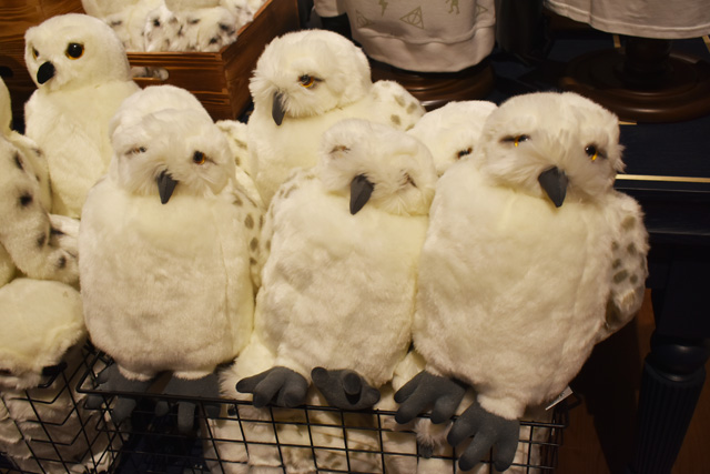 東京限定のヘドウィグぬいぐるみ 1個4900円/ワーナー ブラザース スタジオツアー東京 - メイキング・オブ・ハリー・ポッター(東京都/練馬区)