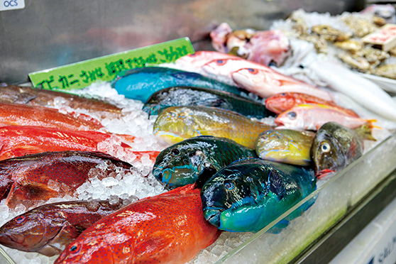 那覇市第一牧志公設市場の様々な魚/ 国際通り（沖縄県／那覇市）