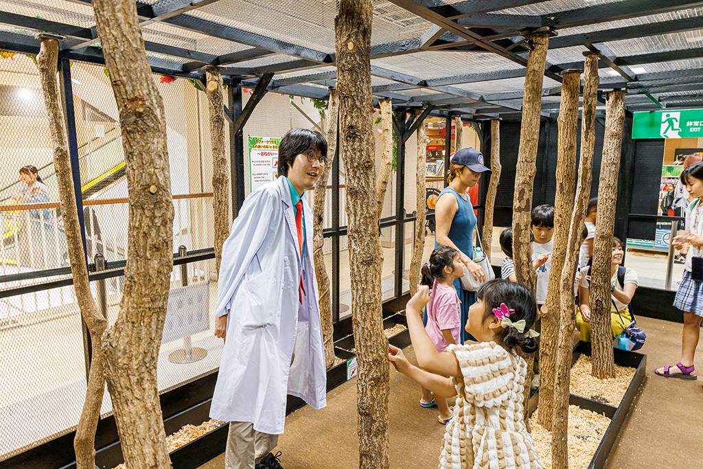 カブトムシ・クワガタのふれあい/東京ジョイポリス＆イベント会場「カブト・クワガタふれあいの森」（東京都/港区）